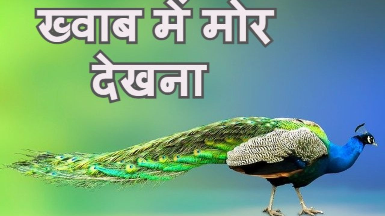 ख व ब म म र द खन Peacock In Dream Islam Hindi Arth