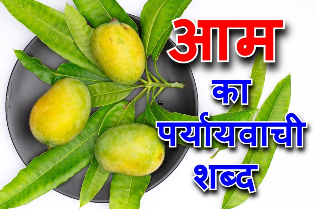 आम का पर्यायवाची शब्द (aam synonyms in Hindi)