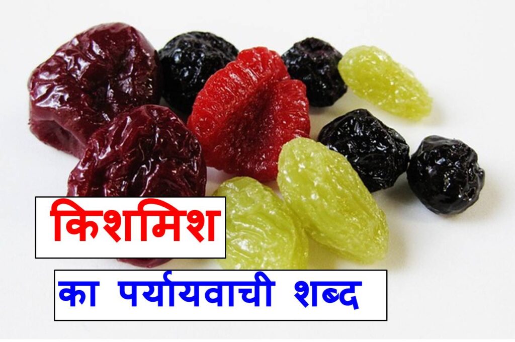 किशमिश का पर्यायवाची शब्द , synonyms of raisins in Hindi