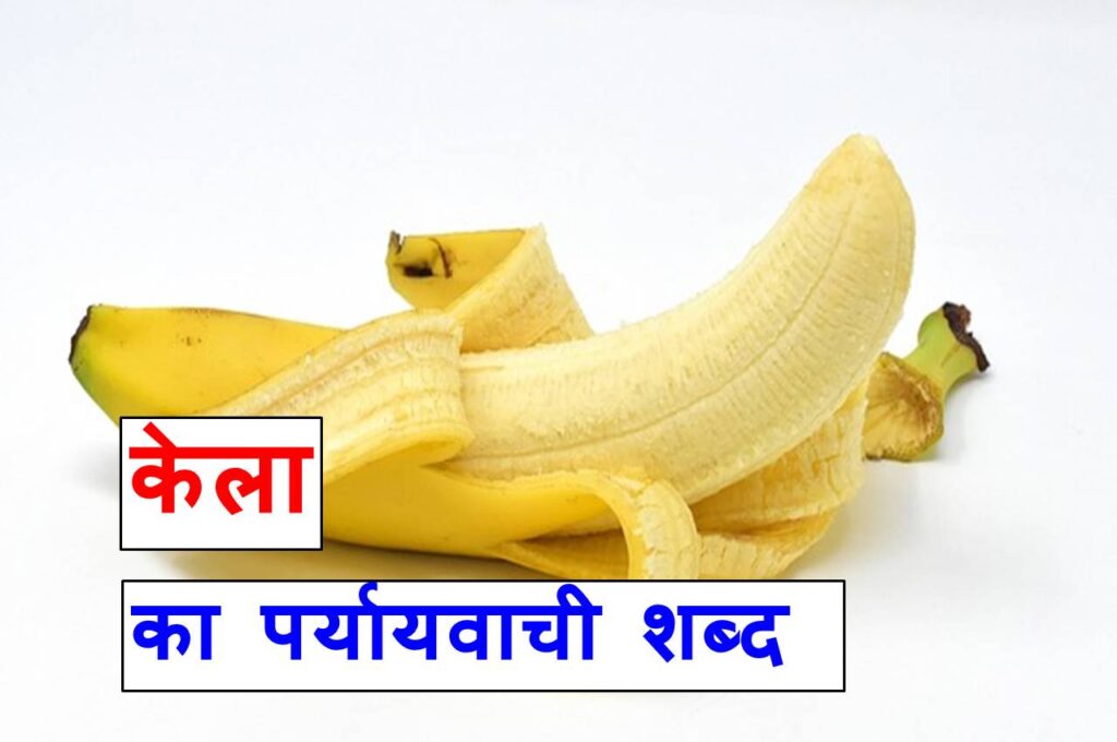 केला का पर्यायवाची शब्द या synonyms of banana in Hindi