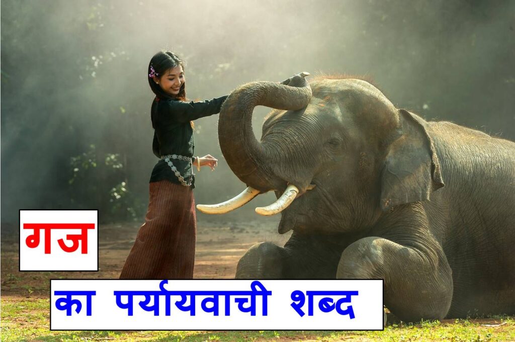 गज का पर्यायवाची शब्द या गज के समानार्थी शब्द, Elephant synonyms in hindi