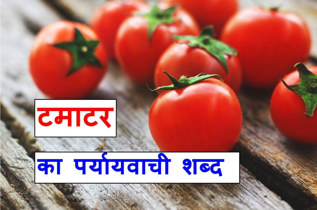 टमाटर का पर्यायवाची शब्द या Synonyms of tomato in Hindi