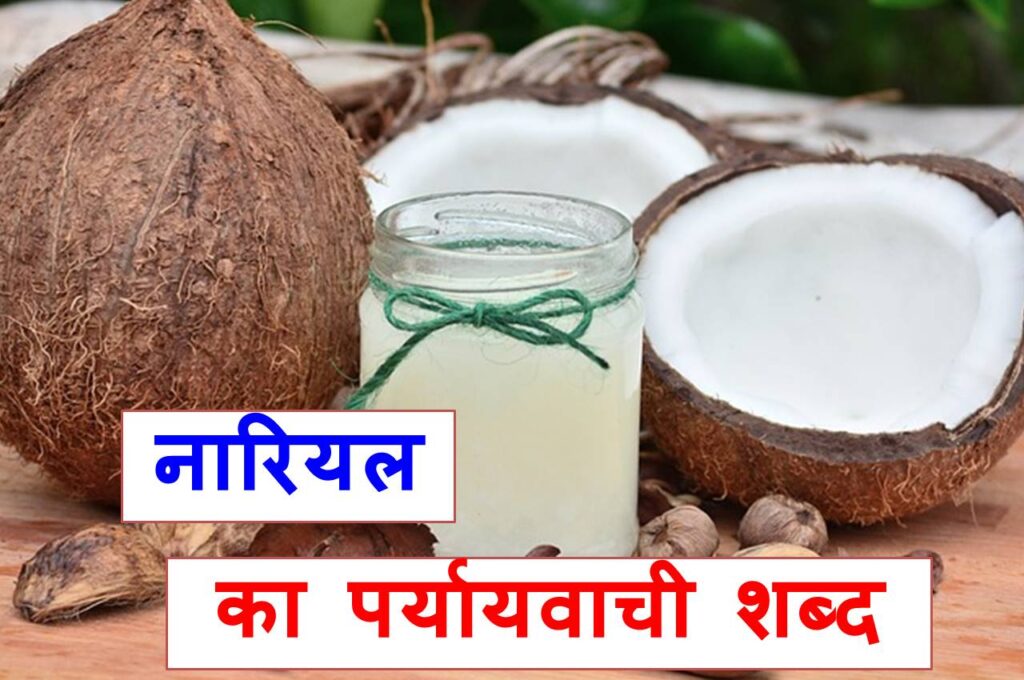 नारियल का पर्यायवाची शब्द या synonym of coconut in Hindi