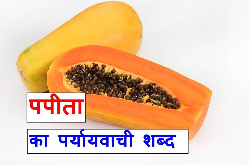 पपीता का पर्यायवाची शब्द या समानार्थी शब्द, synonyms of papaya in Hindi