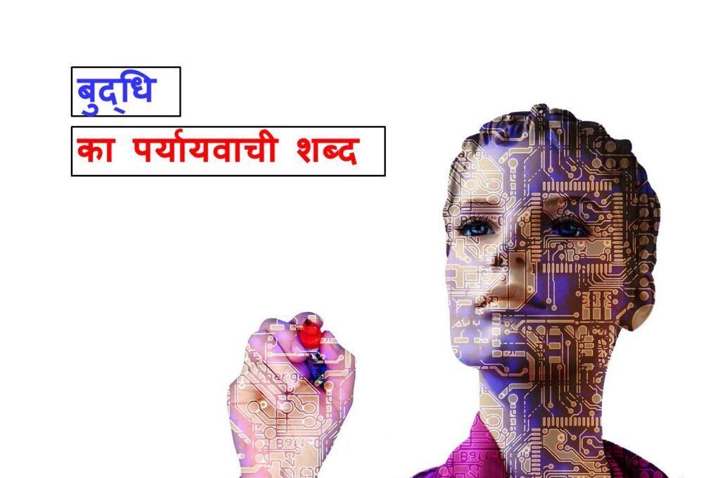 बुद्धि के यह पर्यायवाची शब्द काफी महत्वपूर्ण है 