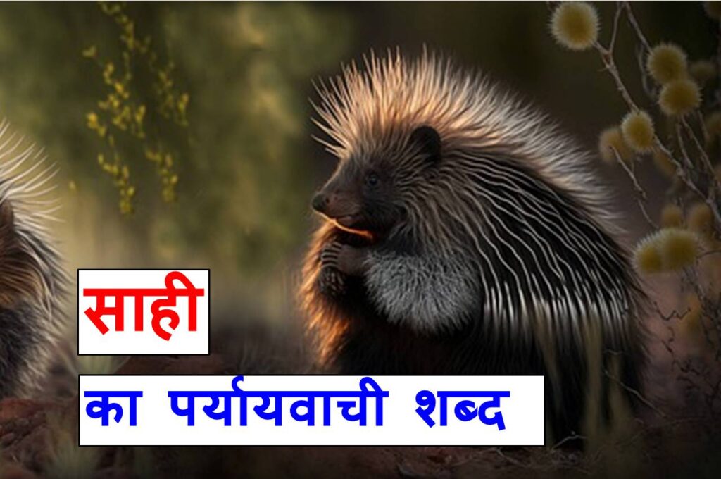 साही का पर्यायवाची शब्द क्या होते है लिखिए, porcupine synonyms in hindi