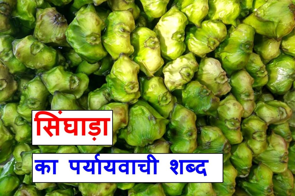 सिंघाड़ा का पर्यायवाची शब्द या water chestnut synonyms in hindi