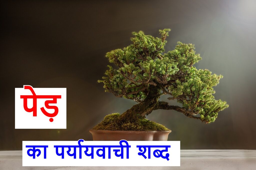 ‌‌‌पेड़ का पर्यायवाची शब्द