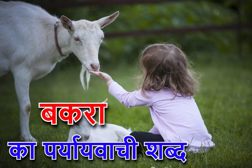 ‌‌‌बकरा का पर्यायवाची शब्द (bakre ka paryayvachi shabd)