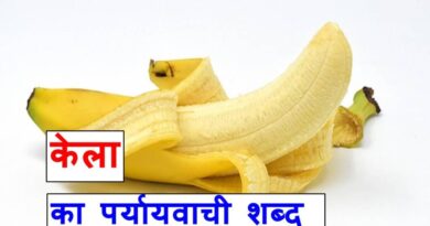 केला का पर्यायवाची शब्द या synonyms of banana in Hindi