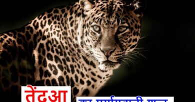 तेंदुआ का पर्यायवाची शब्द या synonyms of Leopard in hindi