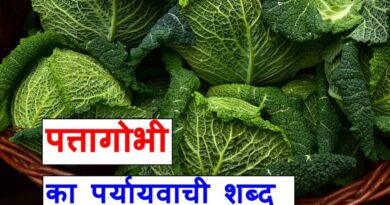 पत्ता गोभी का पर्यायवाची शब्द या synonyms of cabbage in Hindi