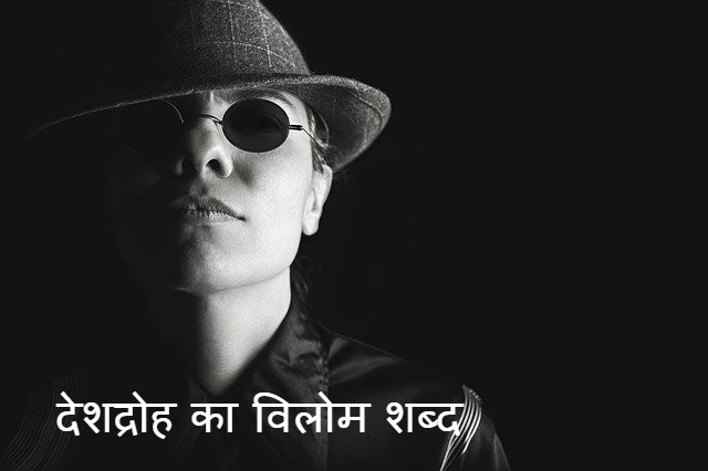 देशद्रोह का विलोम शब्द 