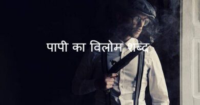 पापी का विलोम शब्द