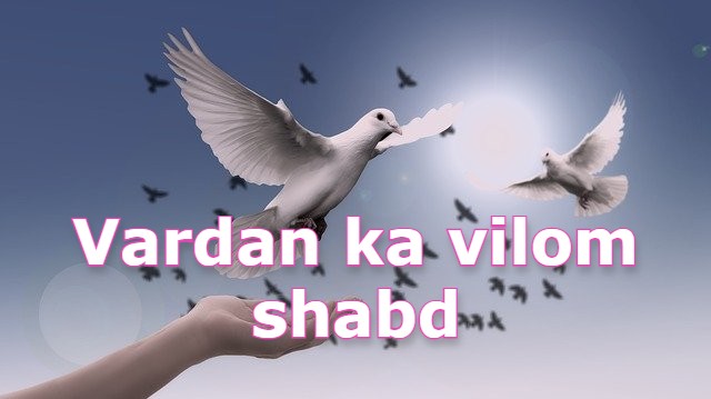 Vardan ka vilom shabd